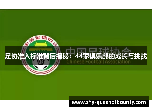 足协准入标准背后揭秘：44家俱乐部的成长与挑战