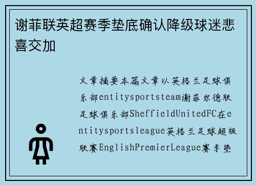 谢菲联英超赛季垫底确认降级球迷悲喜交加